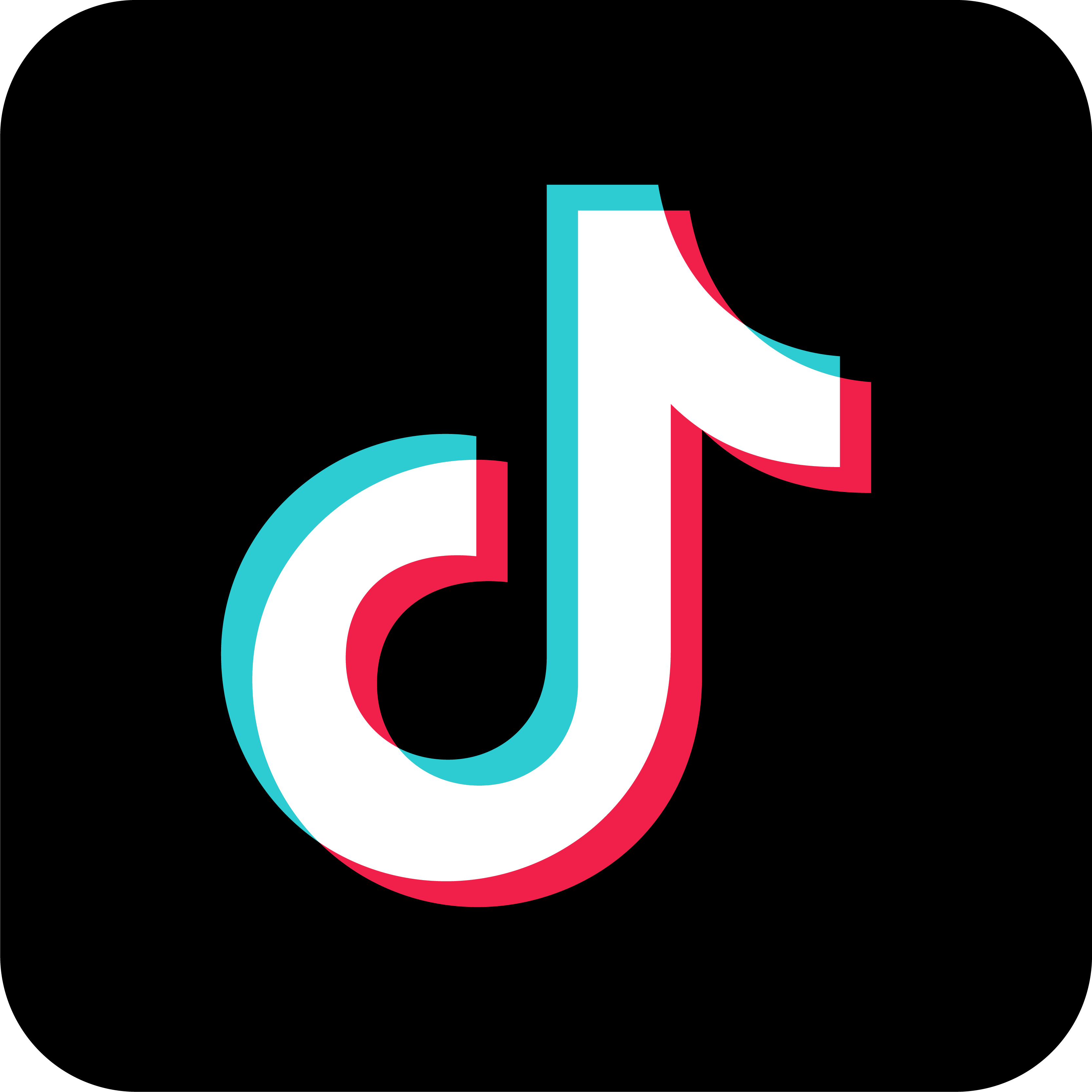 TikTok Logo